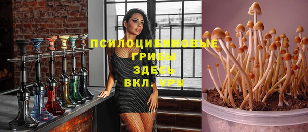 метадон Козельск