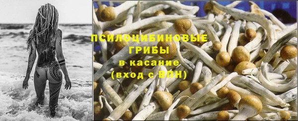 метадон Козельск