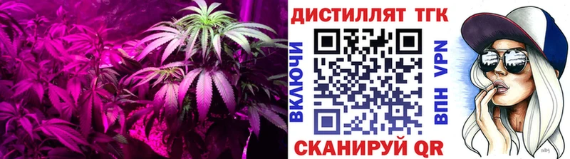 Купить где Болохово ТГК Wax