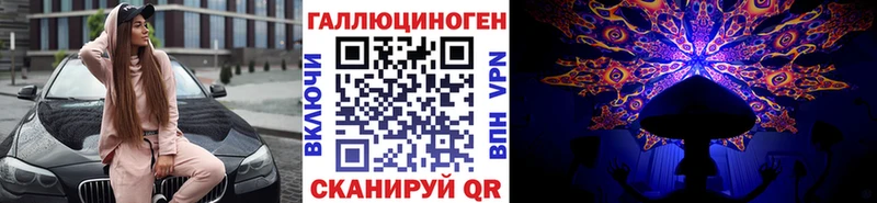 Псилоцибиновые грибы Psilocybe  Купить  Болохово 